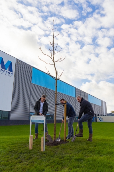 Boom-planten_kleiner-7
